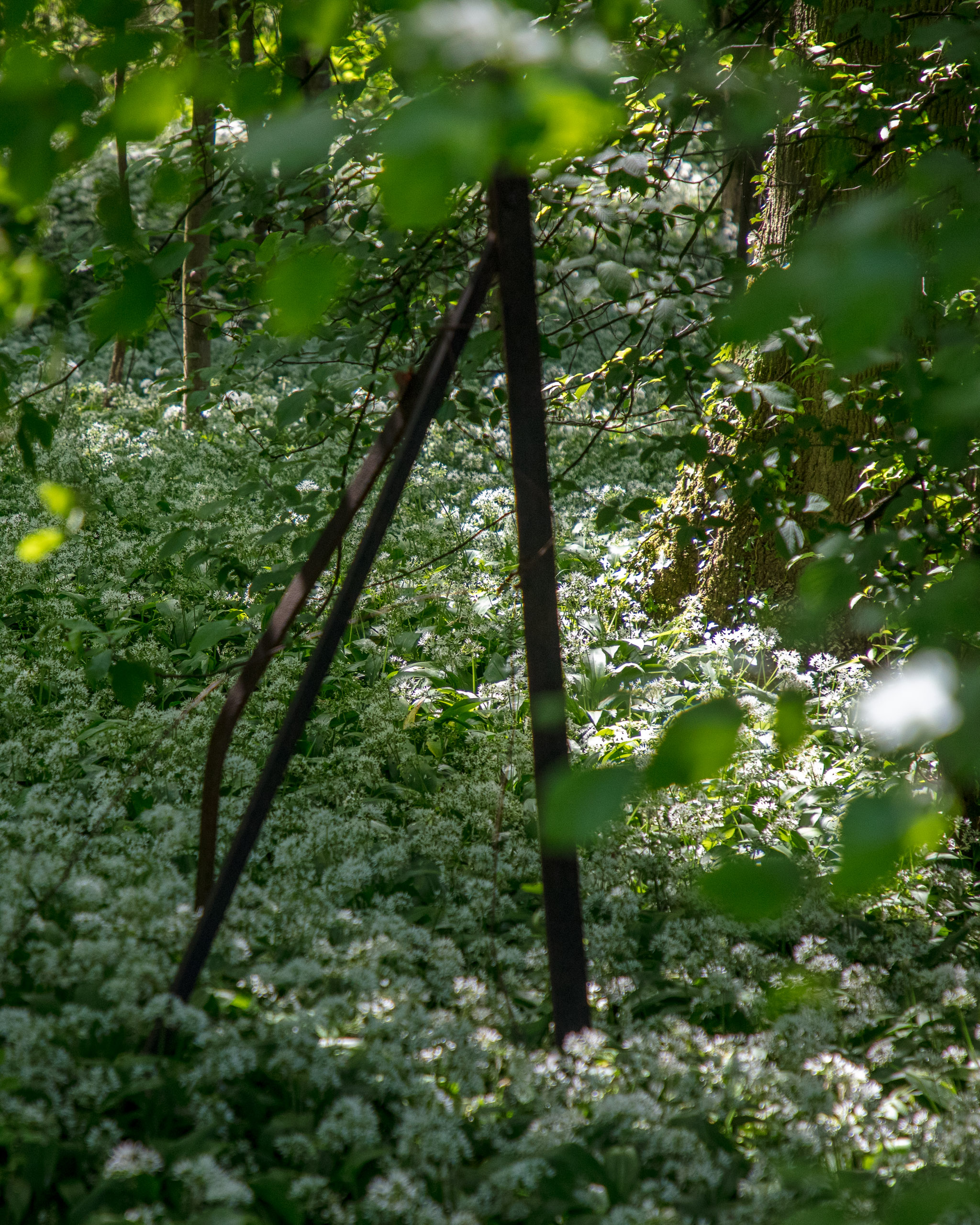 20220508124546 DP017531